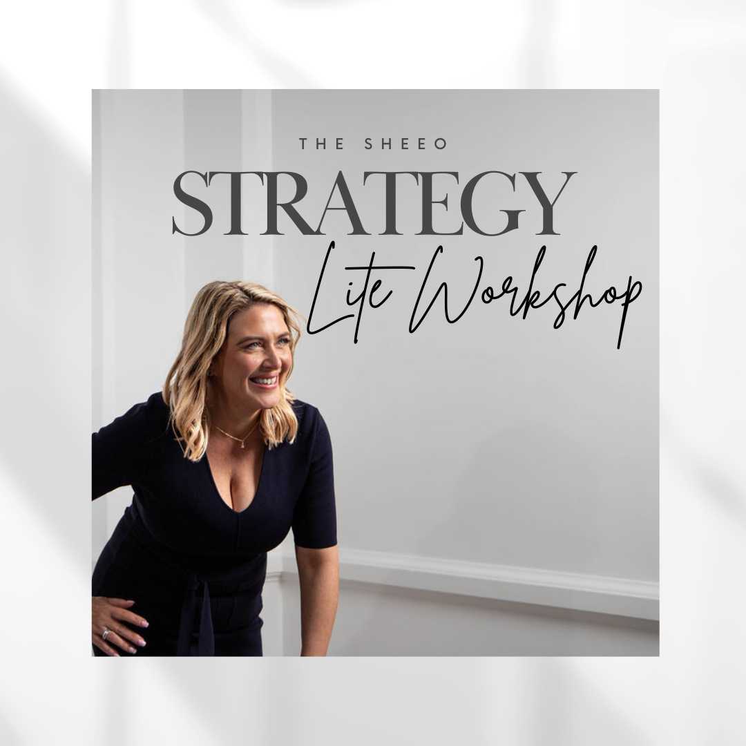 The SheEO Lite Strategy Workshop