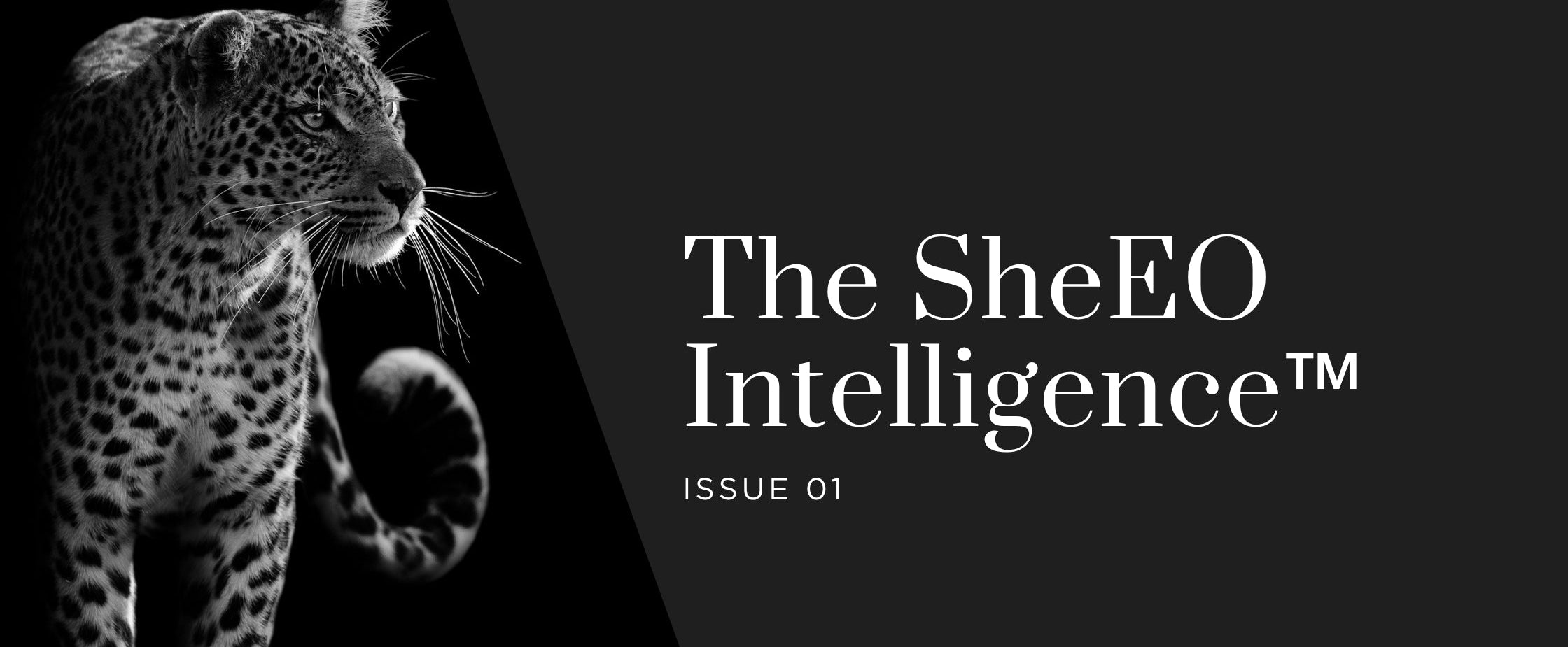 Promotional graphic for 'The SheEO Intelligence Issue 01' featuring a black and white photograph of a leopard on the left, set against a dark gray background with white text.